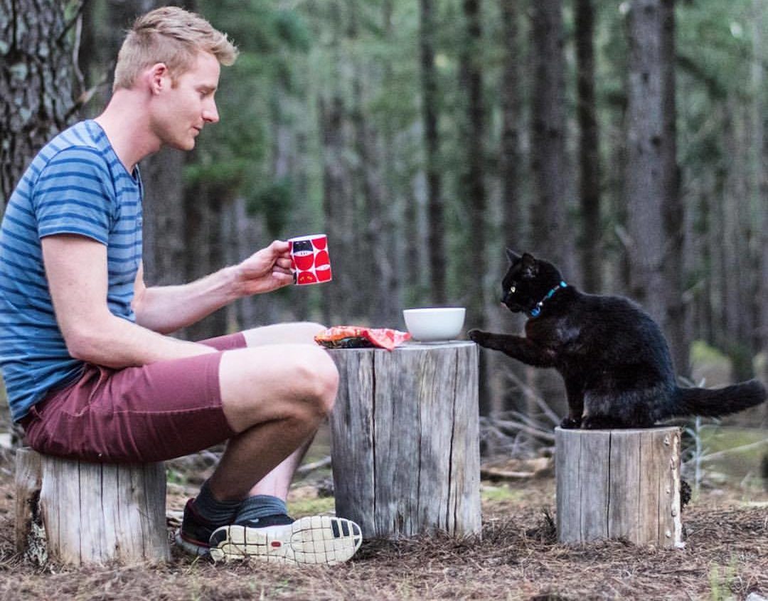 Katze reist im Campervan durch Australien