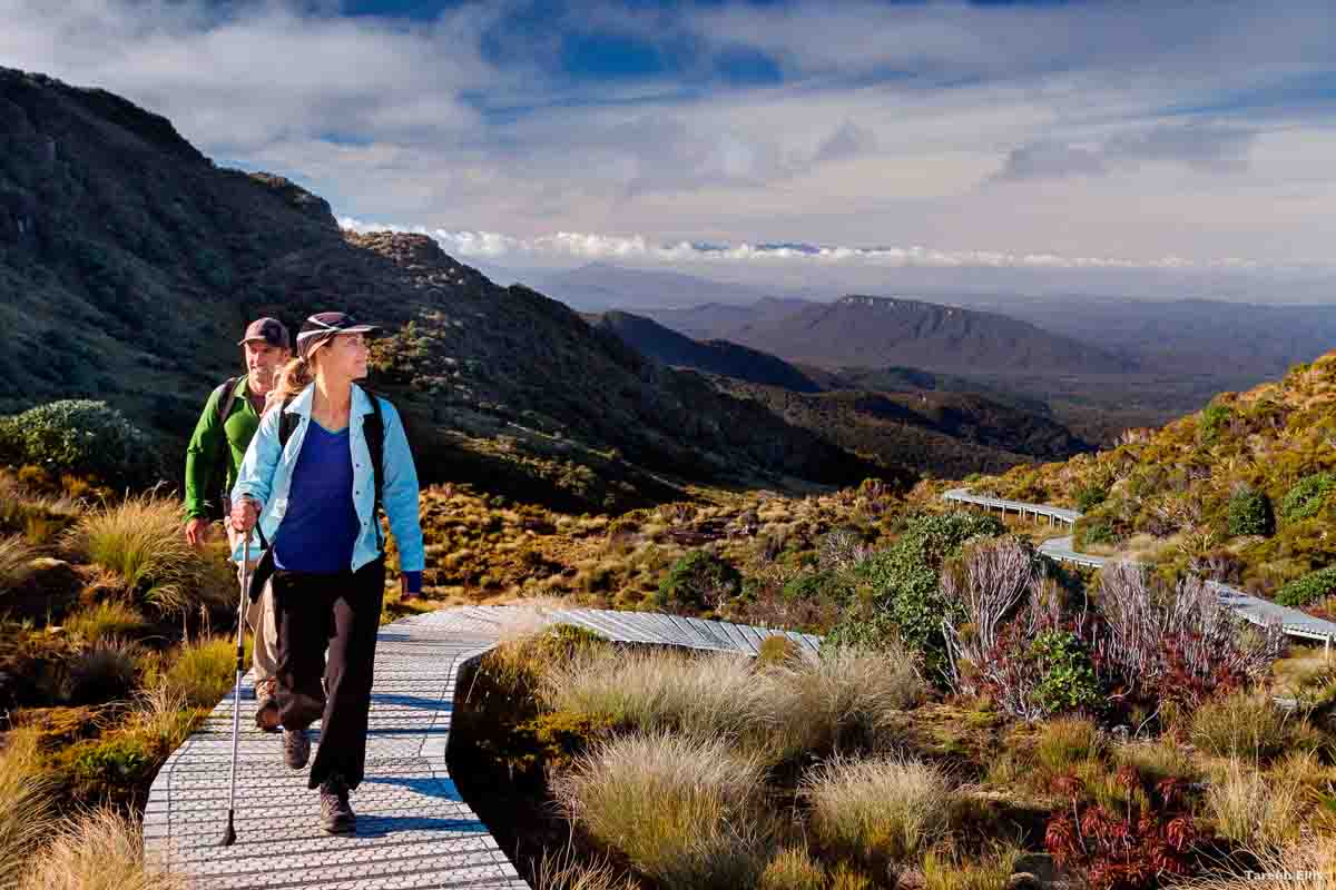 Schönste Orte Neuseeland Hump Ridge Track