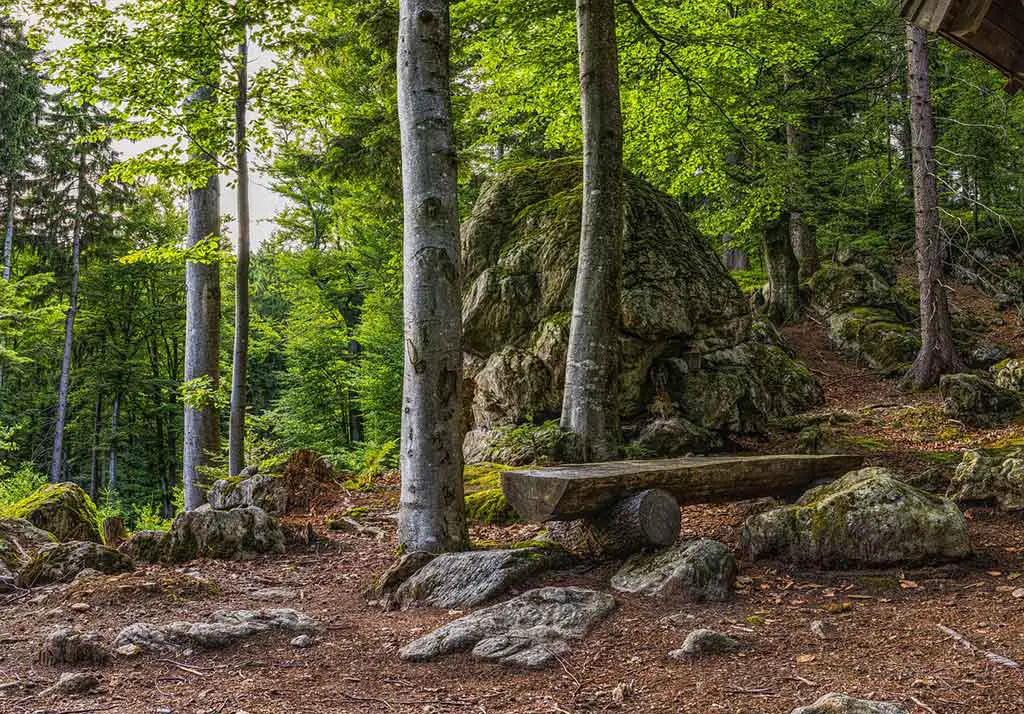 Schönste deutsche Nationalparks Bayerischer Wald