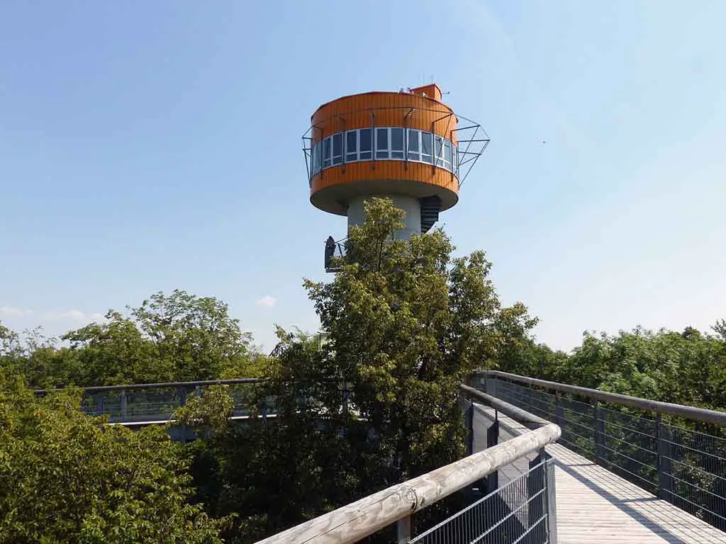 Schönste Nationalparks in Deutschland Hainich