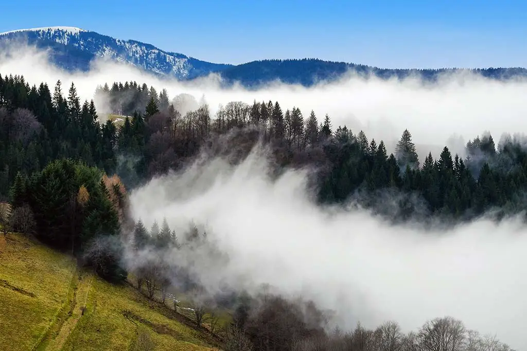 Schöne Deutsche Nationalparks Schwarzwald
