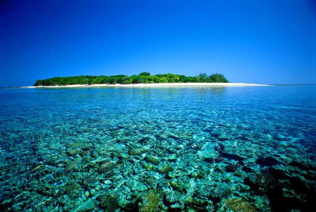 Reiseziele Queensland Lady Musgrave Island Great Barrier Reef