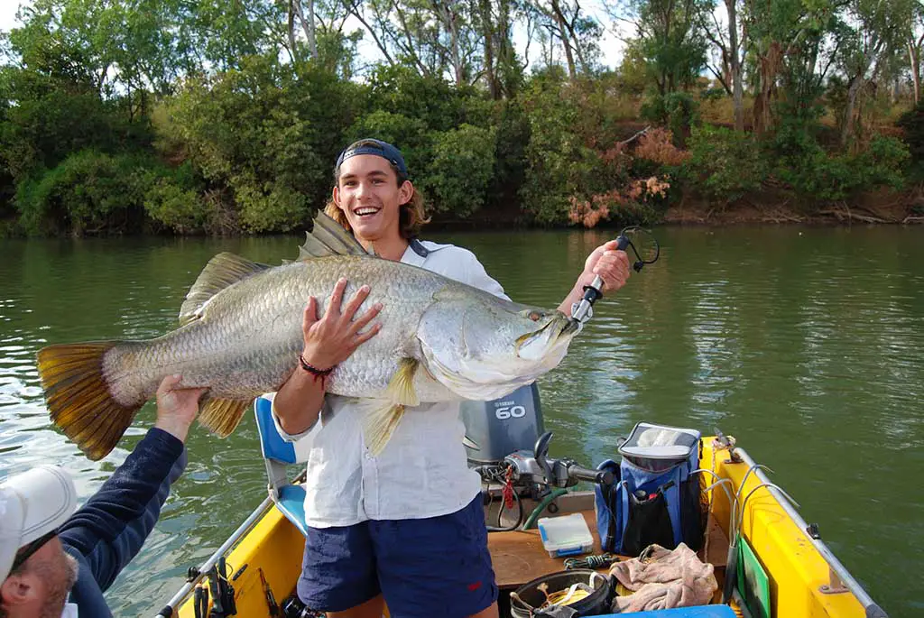 Australien Fische Angeln Barramundi