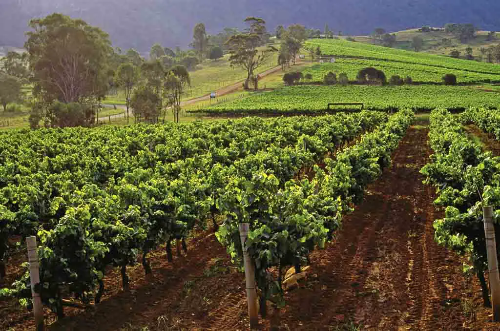 Reiseziele New South Wales Australien Hunter Valley