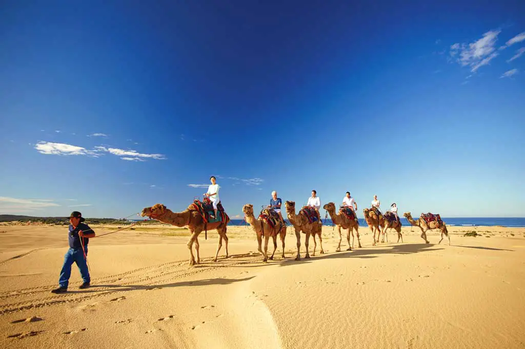 Sehenswürdigkeiten in New South Wales Australien Stockton Beach Port Stephens