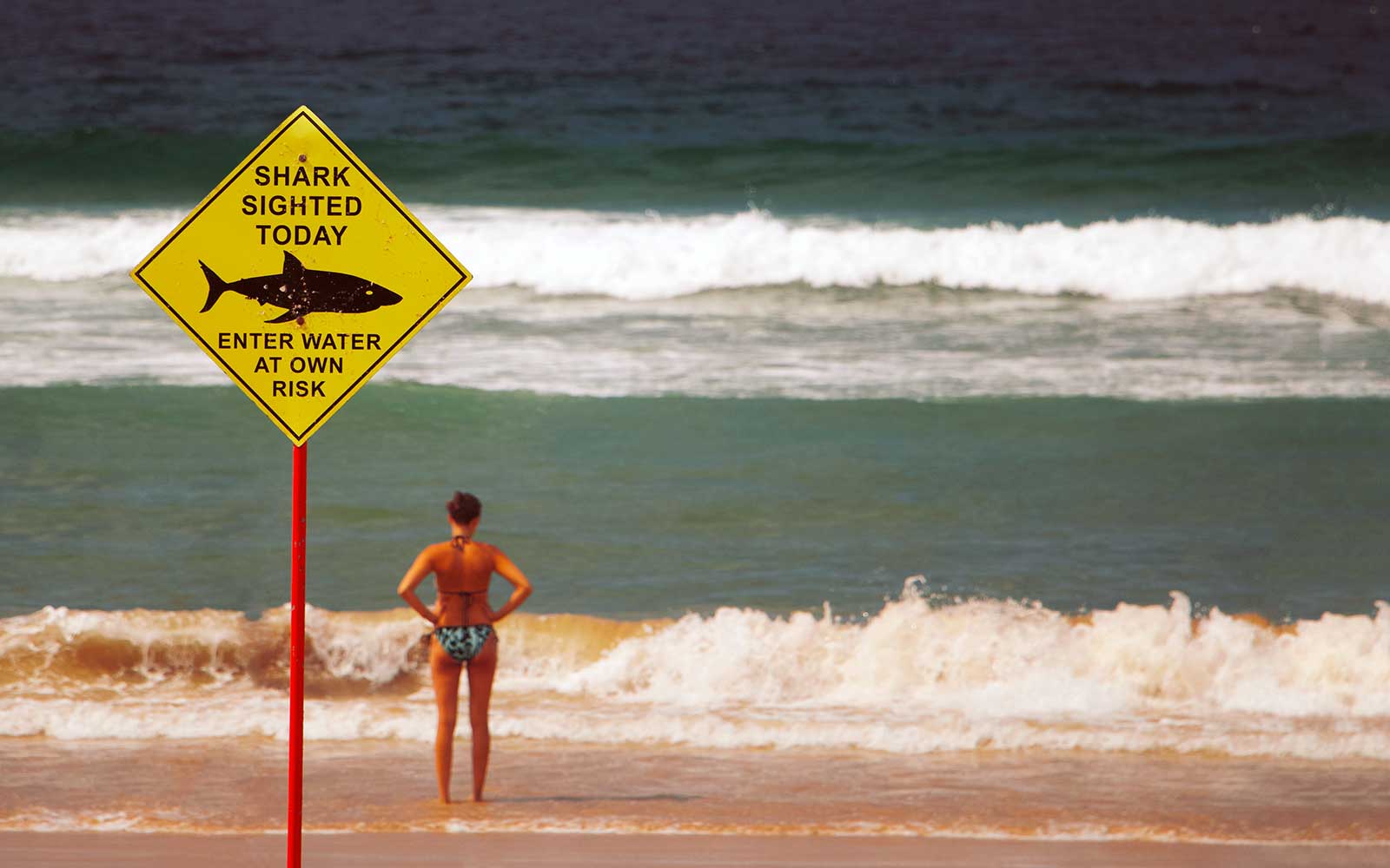 Australien Tiere in Australien
