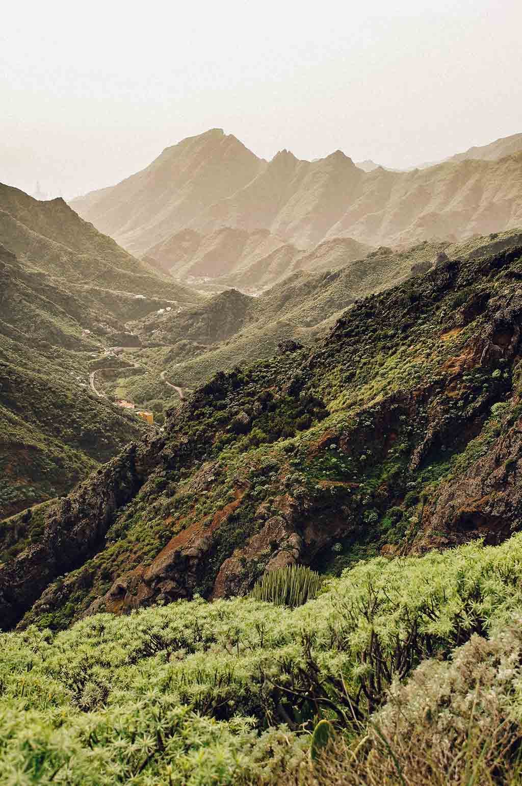 Kanaren Inseln Reise planen Teneriffa