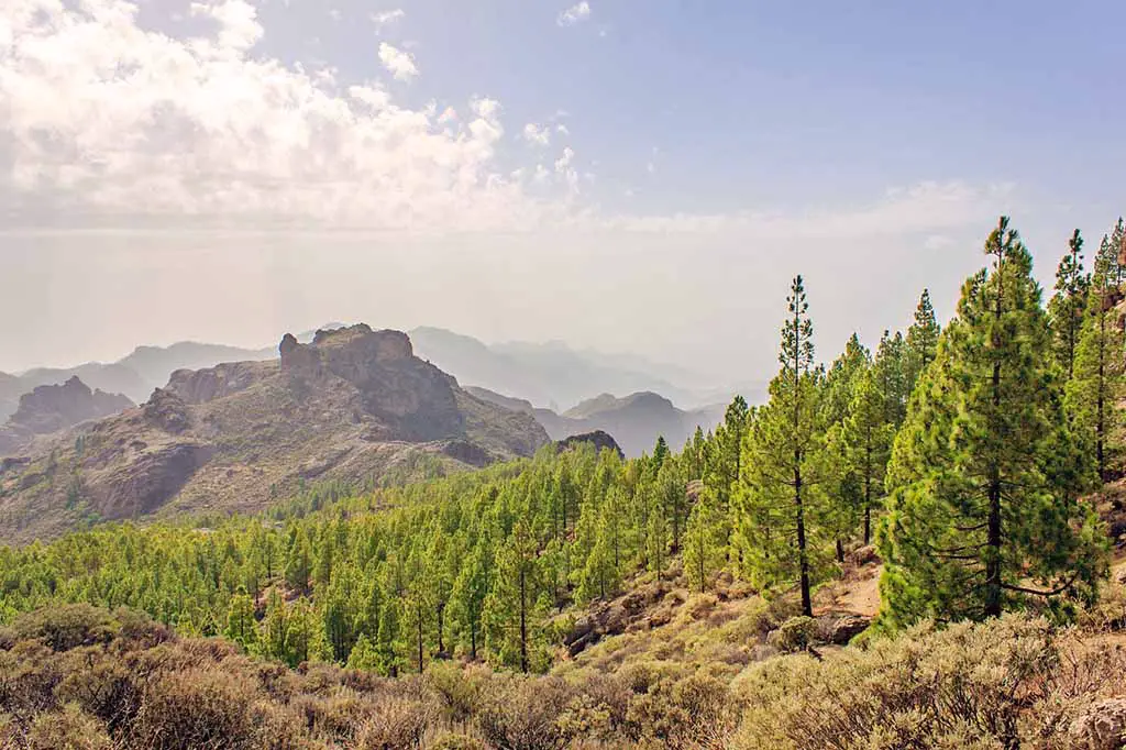 Kanarische Inseln die Kanaren im Vergleich Gran Canaria