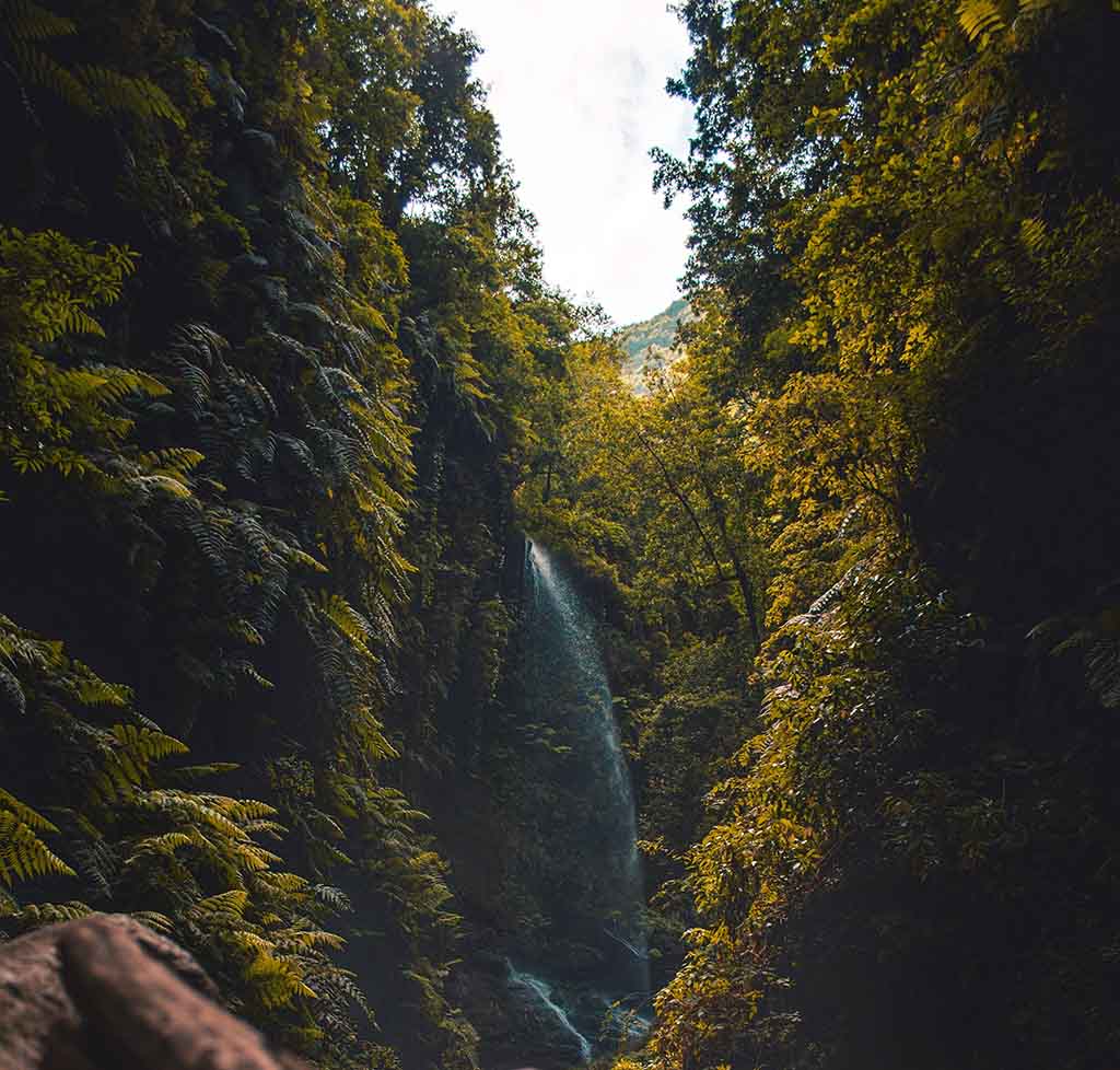Kanarische Inseln die schönste Insel der Kanaren La Palma