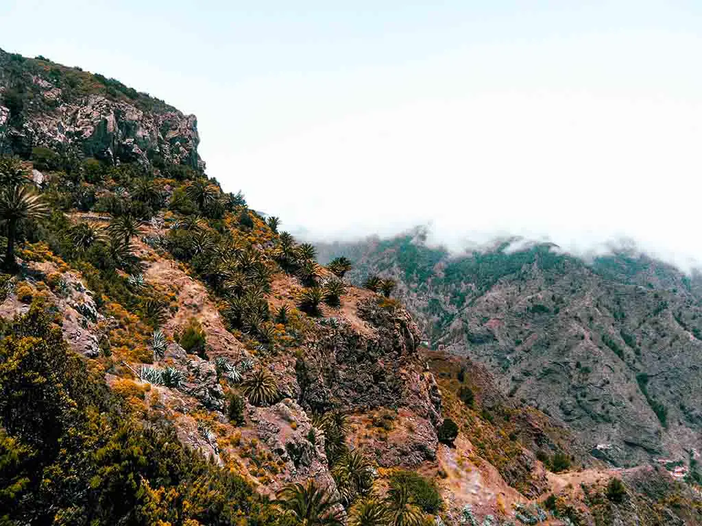 Kanarische Inseln wohin für Urlaub La Gomera