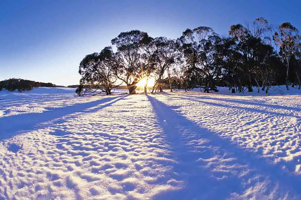 Sehenswürdigkeiten Australien Victoria Reiseziele Wonnangatta National Park