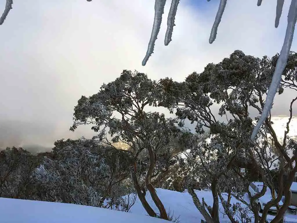 Victoria Australien Reiseziele Sehenswürdigkeiten Mount Hotham Alpine National Park
