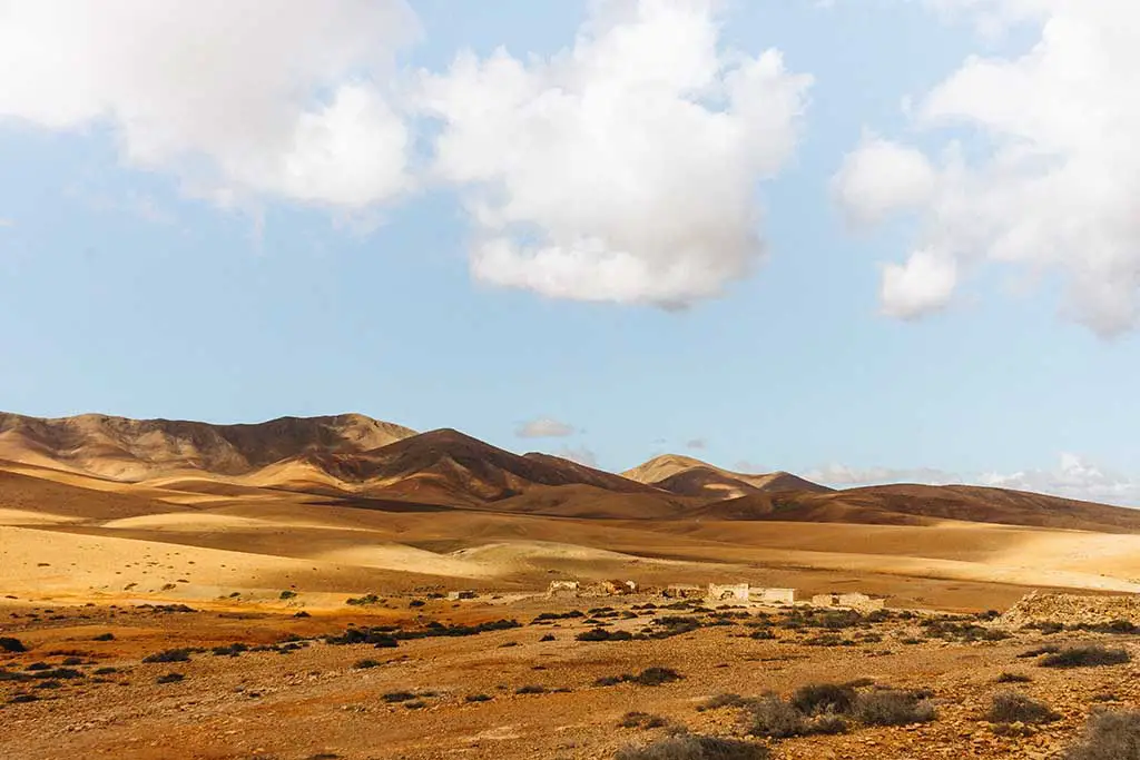 Welche Kanaren Inseln sind am schönsten Fuerteventura
