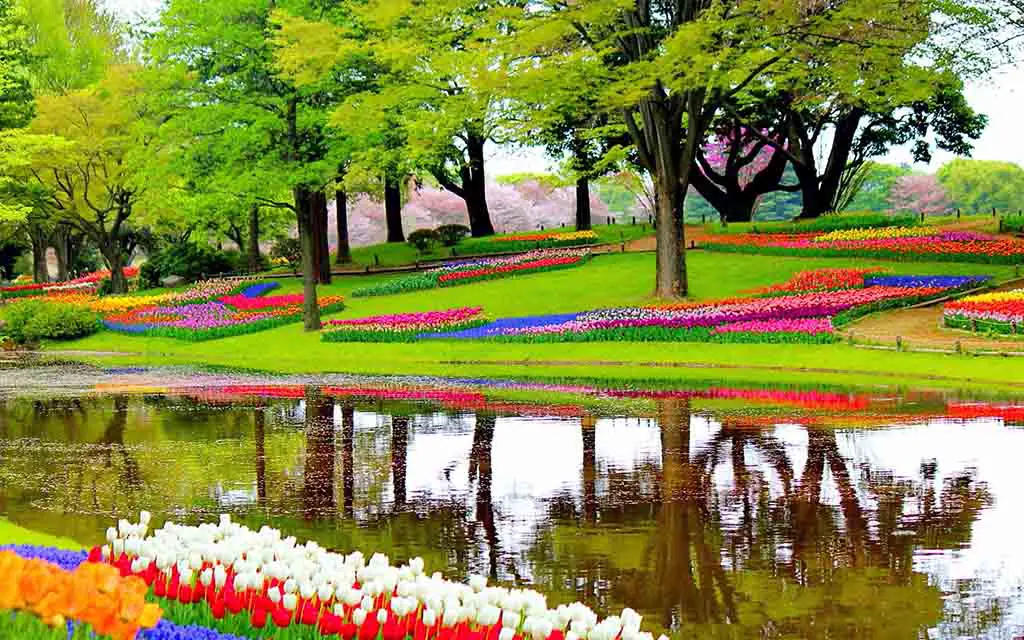 Niederlande Sehenswürdigkeiten Botanischer Garten Keukenhof Lisse