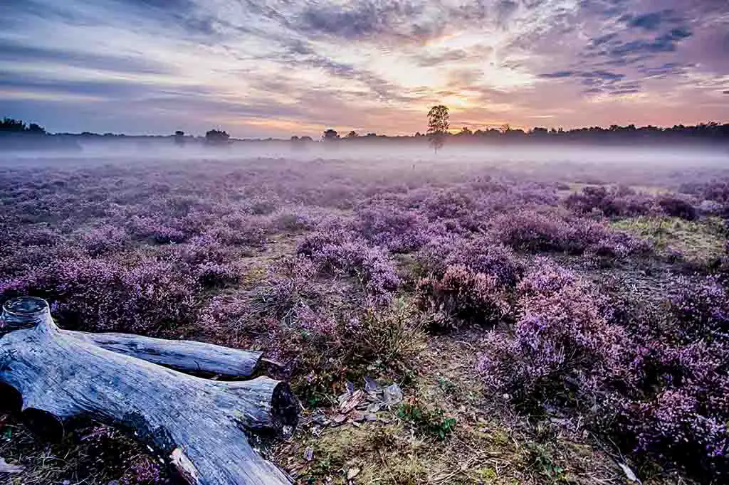 Reiseziele Niederlande Sehenswürdigkeiten Slingerpad Uden
