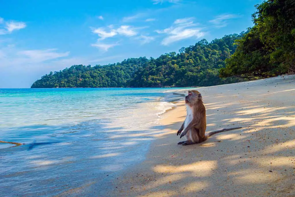 Thailand Inseln Ko Lipe