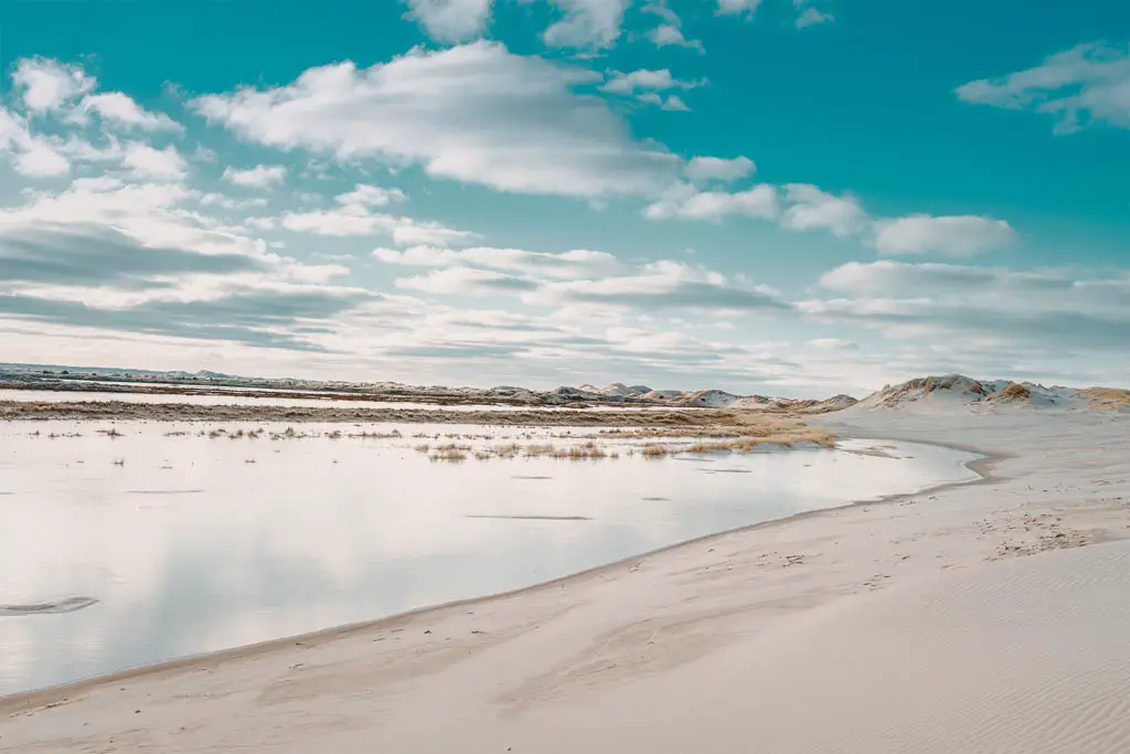 Urlaub in Dänemark Dünen bei Skagen