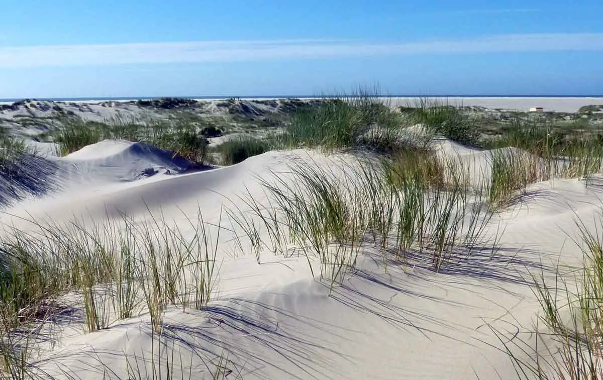 Insel Urlaub norddeutsche Inseln Borkum