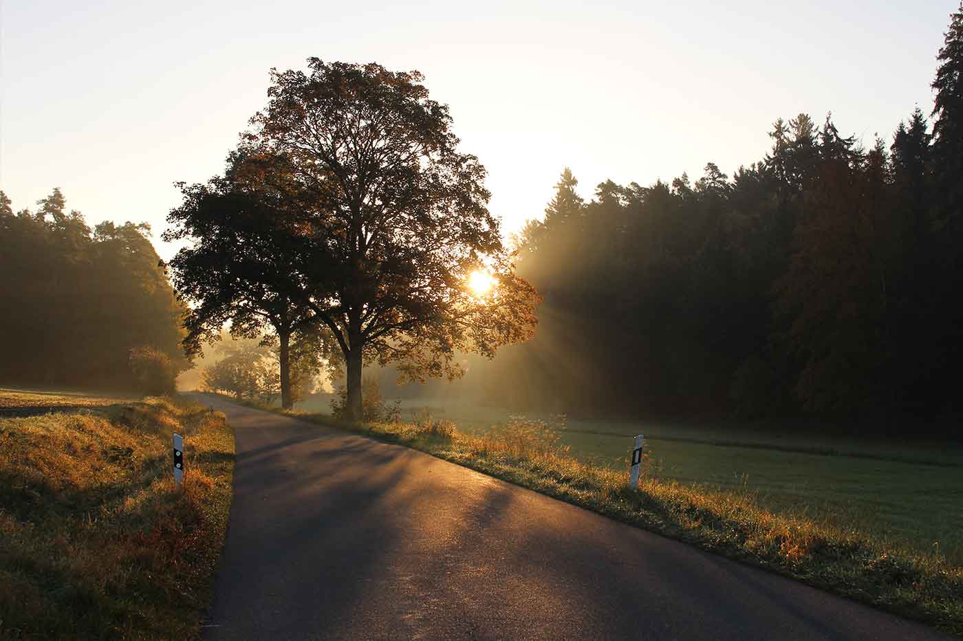 Germany road trip holiday routes