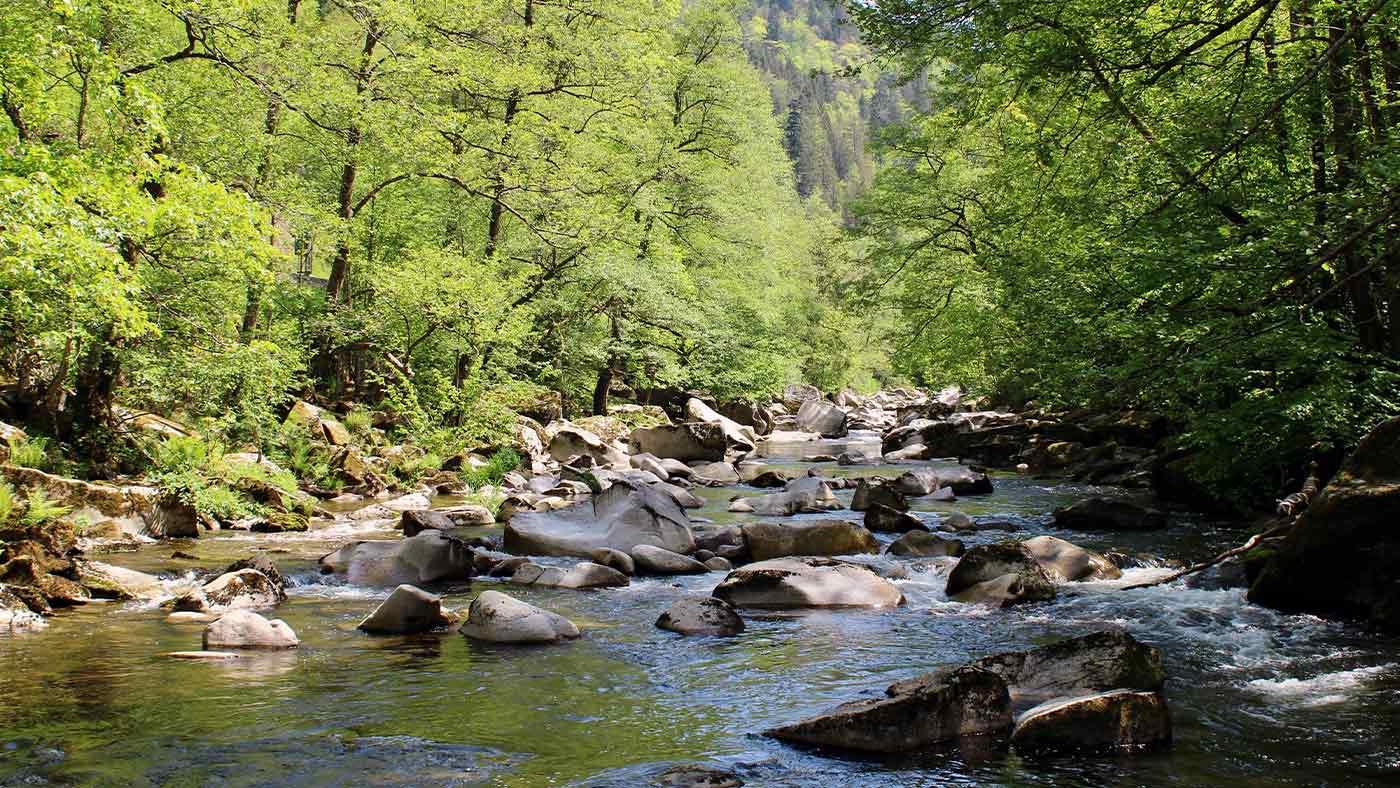 Germany's Unknown Attractions